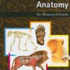 Mammal Anatomy: An Illustrated Guide eBook