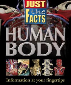Just the Facts Human Body eBook
