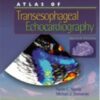 Atlas of Transesophageal Echocardiography eBook
