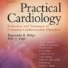 Practical Cardiology Evaluation and Treatment of Common Cardiovascular Disorders eBook