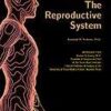 Your Body. How It Works. The Reproductive System eBook
