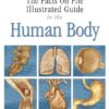 Illustrated Guide to the Human Body: The Respiratory System (Facts on File) eBook
