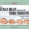 Atlas of Human Central Nervous System Development: The Human Brain During the Third Trimester eBook