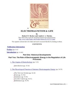 Electromagnetism and Life eBook