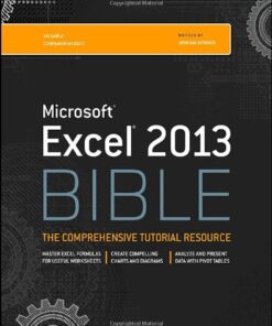 Excel 2013 Bible eBook