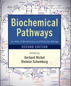 Biochemical Pathways: An Atlas of Biochemistry and Molecular Biology, Second Edition eBook