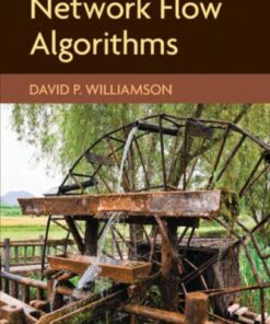 Network Flow Algorithms eBook