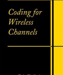 Coding for wireless channels eBook