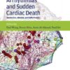 Ventricular Arrhythmias and Sudden Cardiac Death: Mechanism, Ablation, and Defibrillation eBook