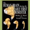 The Human Brain During the Early First Trimester (Atlas of Human Central Nervous System Development) eBook