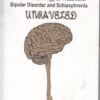 From Neurobiology to Treatment: Bipolar Disorder and Schizophrenia Unraveled eBook