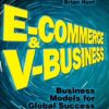 E-Commerce and V-Business: Business Models for Global Success eBook