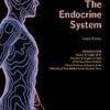 Your Body. How It Works. The Endocryne System eBook