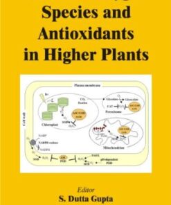Reactive Oxygen Species and Antioxidants in Higher Plants eBook
