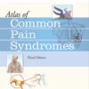 Atlas of Common Pain Syndromes eBook