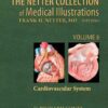 The Netter Collection of Medical Illustrations – Cardiovascular System: Volume 8, 2e eBook