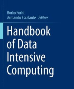 Handbook of Data Intensive Computing eBook