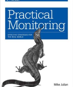 Practical monitoring : effective strategies for the real world eBook