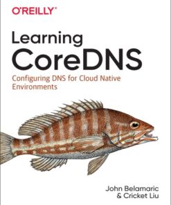 Learning Coredns: Configuring DNS for Cloud Native Environments eBook