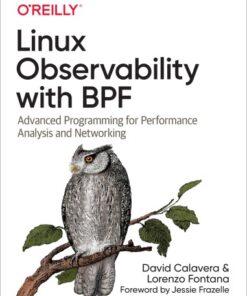 Linux Observability with BPF: Advanced Programming for Performance Analysis and Networking eBook