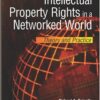 Intellectual Property Rights in a Networked World:: Theory and Practice eBook