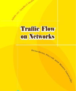 Traffic flow on networks eBook