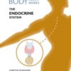 The Endocrine System (The Human Body-How It Works) eBook