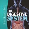 The Digestive System (The Human Body) eBook