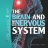 The Brain and the Nervous System (The Human Body) eBook