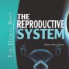 The Reproductive System (The Human Body) eBook