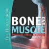 Bone and Muscle: Structure, Force, and Motion (The Human Body) eBook