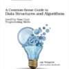 A Common-Sense Guide to Data Structures and Algorithms: Level Up Your Core Programming Skills eBook