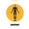 Anatomy: A Crash Course eBook