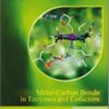 Metal-Carbon Bonds in Enzymes and Cofactors eBook