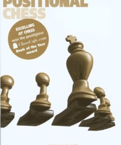 Excelling at Positional Chess eBook