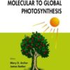 Molecular to Global Photosynthesis eBook