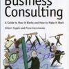 Business Consulting: A Guide to How It Works and How to Make It Work eBook