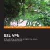 SSL VPN: Understanding, evaluating and planning secure, web-based remote access: A comprehensive overview of SSL VPN technologies and design strategies eBook