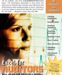 Excel for Auditors: Audit Spreadsheets Using Excel 97 through Excel 2007 eBook