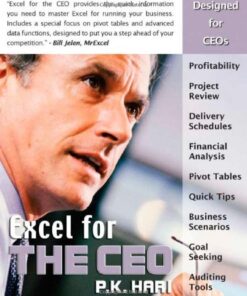 Excel for the CEO eBook