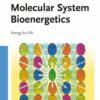 Molecular System Bioenergetics: Energy for Life eBook