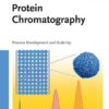 Protein Chromatography: Process Development and Scale-Up eBook