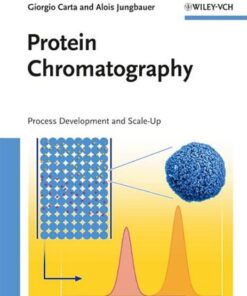 Protein Chromatography: Process Development and Scale-Up eBook