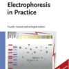 Electrophoresis in Practice: A Guide to Methods and Applications of DNA and Protein Separations eBook