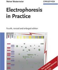 Electrophoresis in Practice: A Guide to Methods and Applications of DNA and Protein Separations eBook