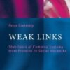 Weak Links: The Universal Key to the Stability of Networks and Complex Systems (The Frontiers Collection) eBook