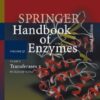 Class 2 Transferases X: EC 2.7.1.113 – 2.7.5.7 (Springer Handbook of Enzymes) eBook
