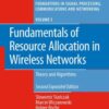 Fundamentals of Resource Allocation in Wireless Networks: Theory and Algorithms eBook