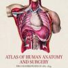 Hole’s Essentials of Human Anatomy & Physiology, 11th Edition eBook