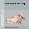 Human Anatomy eBook